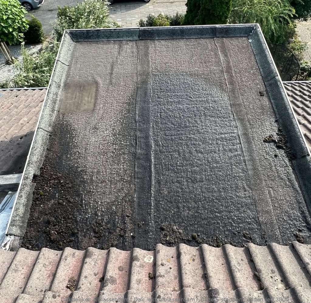 Dak Lekt Alblasserdam