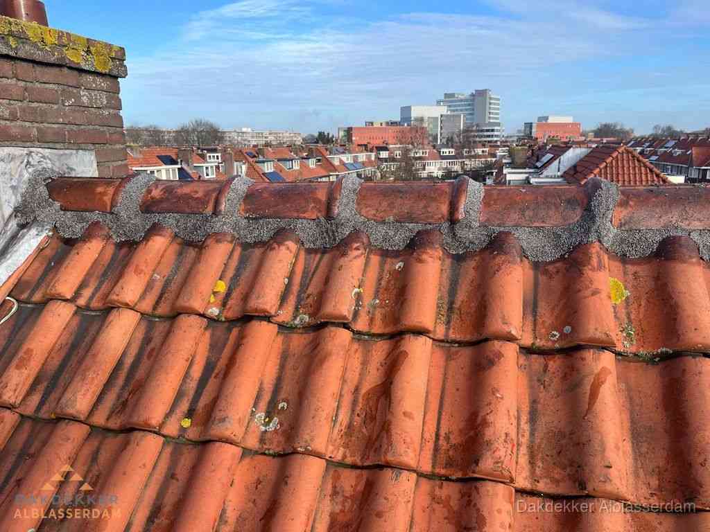 Nieuw bitumen plat dak met uitzicht over woonwijk in Alblasserdam