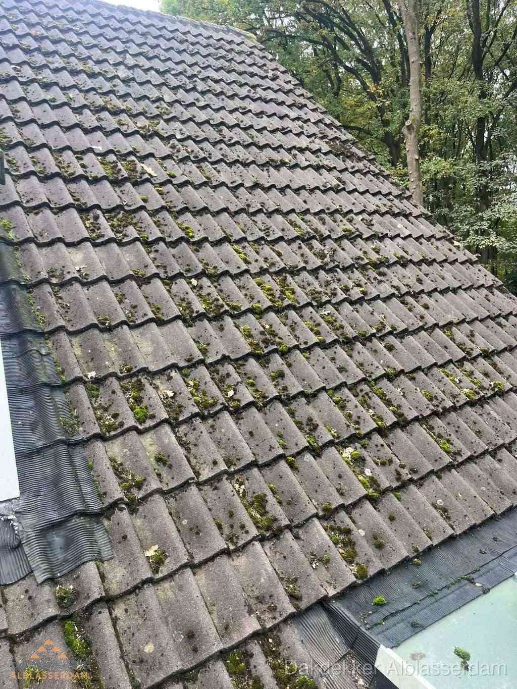 Verweerd pannendak met mosgroei dat renovatie nodig heeft in Alblasserdam