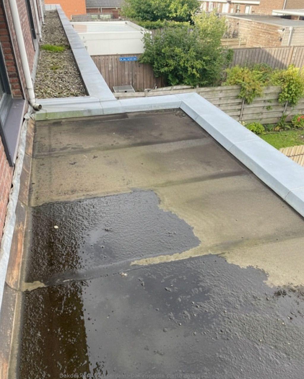 Dakinspectie platte daken Alblasserdam: lokale kennis