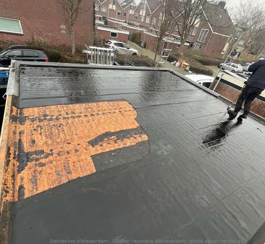 Dakleer Reparatie Alblasserdam