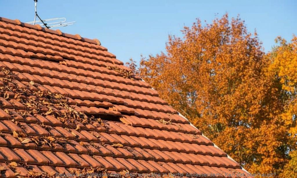 Dakrenovatie in herfst Alblasserdam: Kan dat überhaupt?