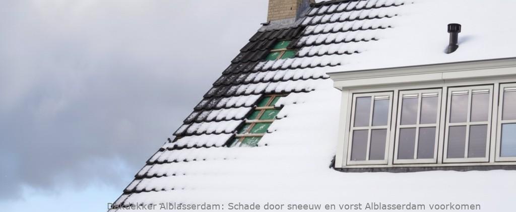 Schade Door Sneeuw En Vorst Alblasserdam