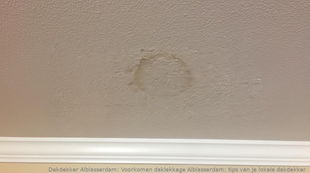 Voorkomen daklekkage Alblasserdam: tips van je lokale dakdekker
