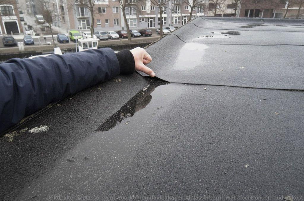 Voorkomen Daklekkages Alblasserdam